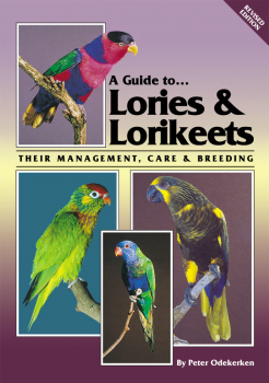 AGT-Lories_Lorikeets.jpg Kopie